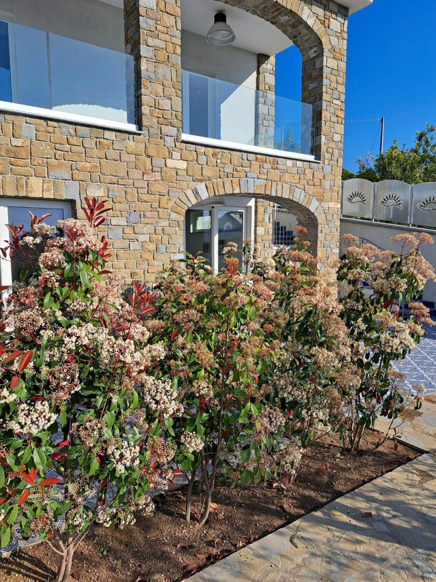 Bed and Breakfast Paoma à Agropoli Extérieur photo