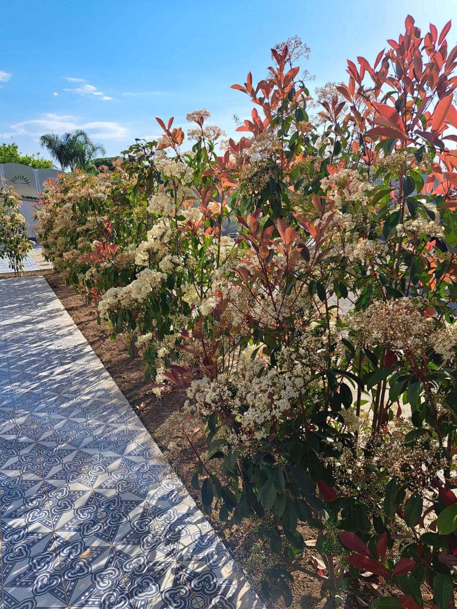 Bed and Breakfast Paoma à Agropoli Extérieur photo